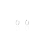 Load image into Gallery viewer, Paris Hoop Earrings